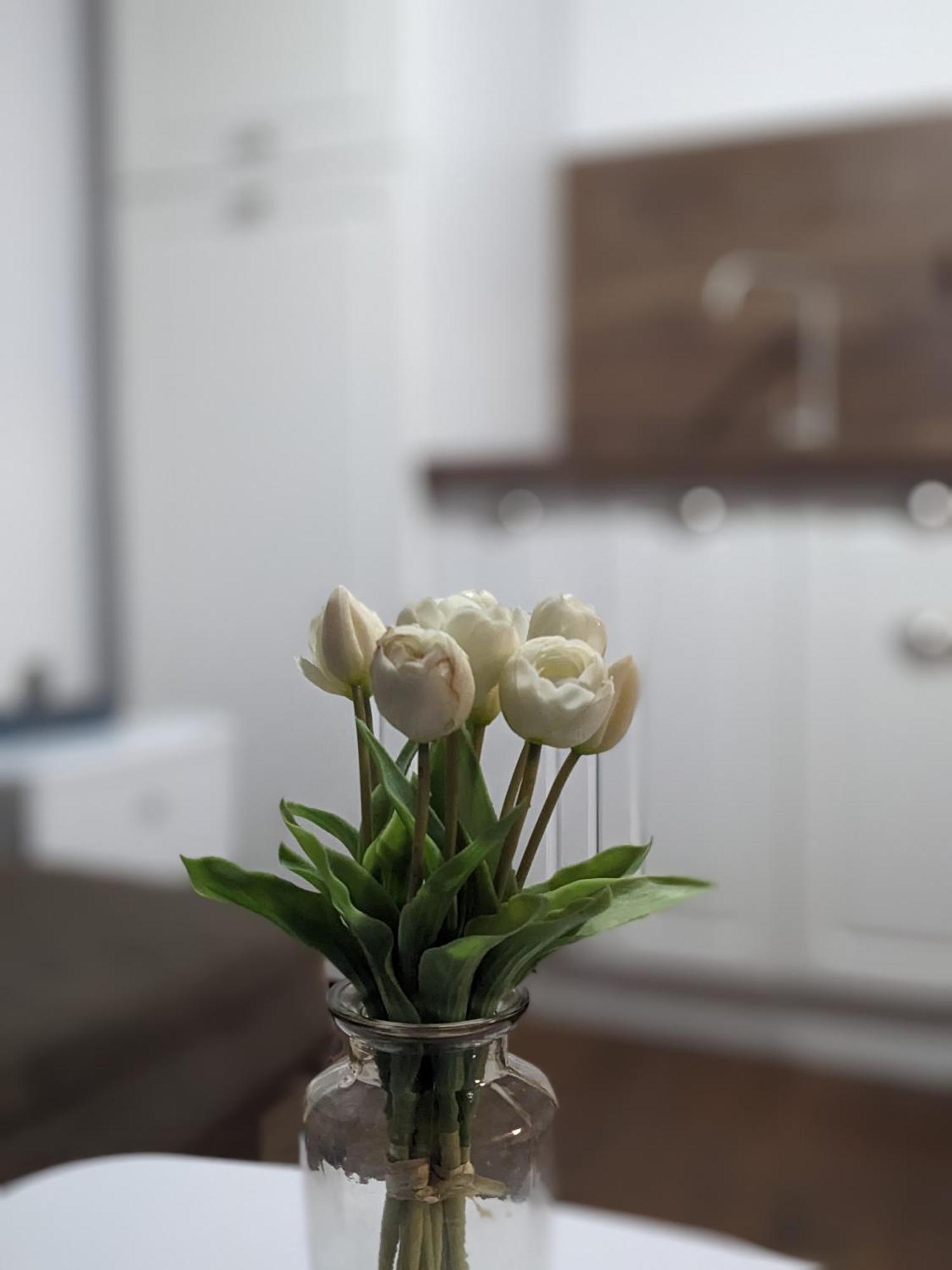 Honey I'M Home Apartments เวลีคอเทอร์โนโว ภายนอก รูปภาพ